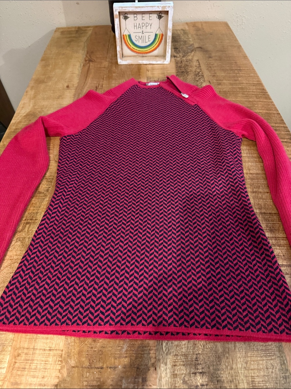 Smartwool Women's Hot Pink and Navy Crewneck Knit Sweater